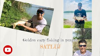 Epic Carp Fishing Adventure in the Satluj River [upl. by Einiffit718]