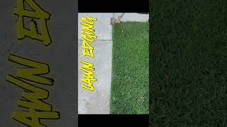 Lawn Edging grass satisfying edge chickennuggets gardener peanut cuttinggrass lawncare [upl. by Earley]