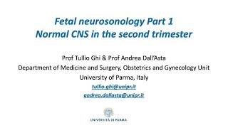 The ultrasound assessment of the fetal brain at 20 weeks  Prof Dr Ghi Prof Dr DallAsta [upl. by Cuda]