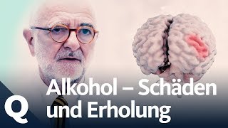 Wie gut kann sich der Körper vom Alkohol erholen  Quarks [upl. by Haimehen]