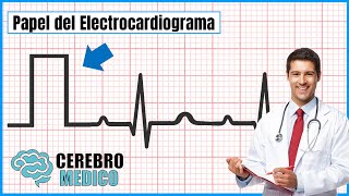 Papel del Electrocardiograma  ▷ Como leer un EKG paso a paso [upl. by Yetti134]