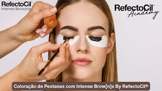 Coloração de Pestanas com Intense Browns By RefectoCil® [upl. by Ornstead]