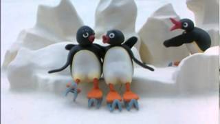 Pingus First Kiss  Pingu Official Channel [upl. by Fry]