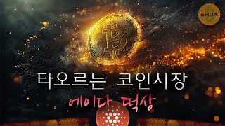 비트코인 연일 신고가 2024년 연말 종가는 결국 에이다도 간다 [upl. by Esyla]