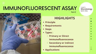 Immunoassays  Immunofluorescent assay IFA [upl. by Pry]