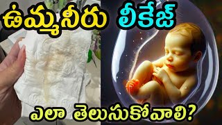 ఉమ్మనీరు లీకేజ్ ని ఎలా తెలుసుకోవాలిHow to know amniotic fluid leakage in pregnant women [upl. by Ondrej616]