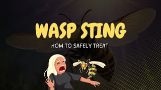 Wasp Sting  How to Safely Treat Wasp Stings Quick Tips and Emergency Advice [upl. by Rennerb987]