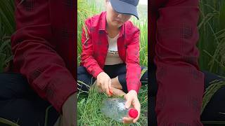 Make bird repellent traps from plastic bottlesplastic survival outdoors lifehacks [upl. by Caia643]