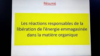 Réactions responsables de la libération de lénergie emmagasinée dans la matière organique résumé [upl. by Oisinoid]