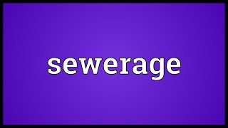 Sewerage Meaning [upl. by Miner801]