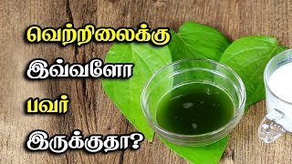 வெற்றிலைக்கு இவ்ளோ பவர் இருக்குதா Betel Leaves Benefits  Vetrilai Tamil Health Tips [upl. by Eimmat]