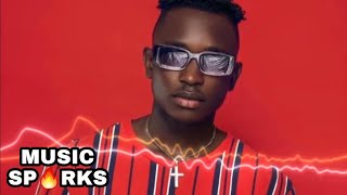 🔥Adfega  Frenemy 🎧  2022 SIERRA LEONE MUSIC 🇸🇱  Music Sparks [upl. by Suhploda538]