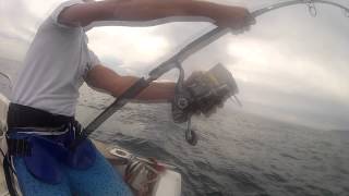 Bluefin Tuna on SpinningPopping Gear [upl. by Carling]