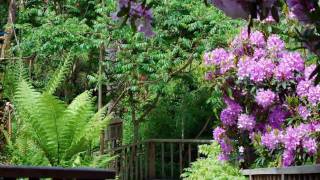 Lost Gardens of Heligan  Cornwall [upl. by Emerson]