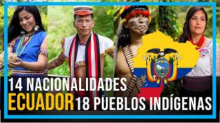 PUEBLOS Y NACIONALIDADES INDÍGENAS DEL ECUADOR [upl. by Akemor]