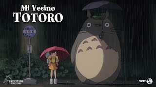 107 My Neighbor Totoro Facts You Should Know  Channel Frederator [upl. by Kacerek213]