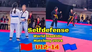 Hapkido Selfdefense show  Hapkido Championship 2024 hapkido spinkick frontkick selfdefense [upl. by Agathe784]