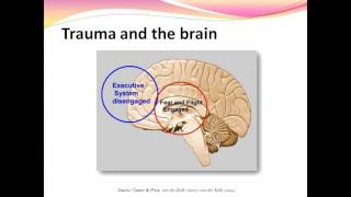 Eye Movement Desensitization and Reprocessing EMDR and PTSD [upl. by Ramad837]