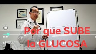 ¿Por que SUBE MI GLUCOSA [upl. by Llenrev]