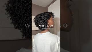 Wash amp Go ft Michebeauty [upl. by Weitman352]