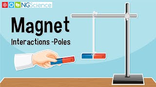 Magnet Interactions – Poles [upl. by Russi]