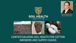 Contextualizing Soil Health for Cotton Growers and Supply Chains [upl. by Silisav]