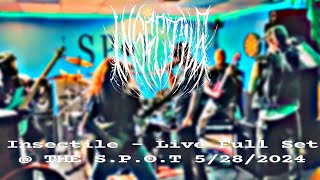 Insectile  Live Full Set  THE SPOT 5282024 [upl. by Siurtemed67]