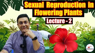 Sexual Reproduction in Flowering Plants l Lecture 2 l Biology l NEET [upl. by Erehc53]