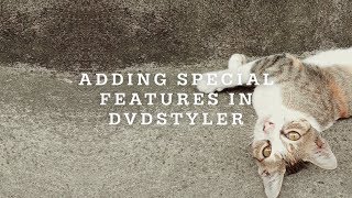 How To Add Special Features In DVDStyler [upl. by Eiznekcm455]