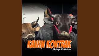 Kawin Kontrak [upl. by Roch]