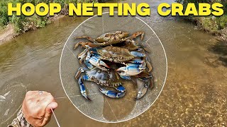 Throwing a HOOP NET in a Roadside Ditch for Crabs Shrimp and Fish CATCH AND COOK [upl. by Arne952]