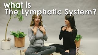 What is the Lymphatic System [upl. by Berkly833]