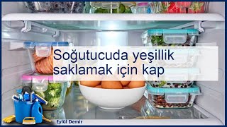 Soğutucuda yeşillik saklama kapları seçenekler ve karşılaştırmalar [upl. by Llerehc]