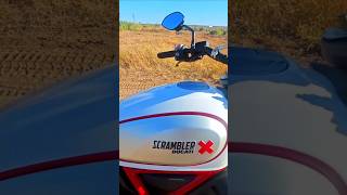 Ducati scrambler desert sled ducatiscrambler ducati [upl. by Salamanca]