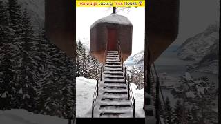 Norway Luxury Tree House 🤔😱shorts [upl. by Aidni]