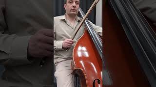 Mahler 5th symphony 4th movement Adagietto  double bass [upl. by Geier]