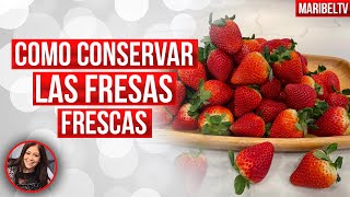 COMO CONSERVAR Y DESINFERTAR FRESAS COMO CONSERVAR LAS HOJAS VERDES DE LAS FRESAS [upl. by Madigan]