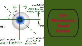 Eye Movements Rapid Review [upl. by Enohpets]