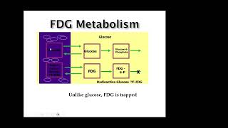 Application of PETCT in radiation oncology Dr Amr Hamed [upl. by Phalan]