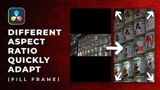 Adapt videos to the aspect ratio of your project in Davinci Resolve [upl. by Ellehsal34]