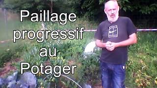 Le Paillage Progressif au Potager Permaculture [upl. by Berti]