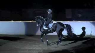 Equine Affaire 2011 Fantasia  Freestyle Dressage [upl. by Tnarb521]