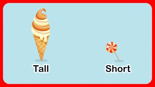 Tall and Short Comparison for Kids Toddlers Children  Educational Videos [upl. by Flossie]