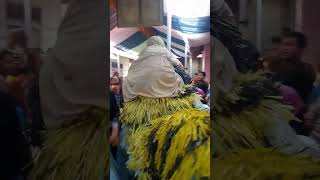 pocong tiktok naik macan macanan bintang panorama [upl. by Annoif]