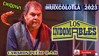 Los Indomables en Vivo 2023  Camaron Pelao  Huixcolotla [upl. by Ttenyl]