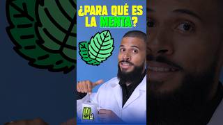 ¿Para qué sirve el TÉ DE MENTA shortsviral doctor menta [upl. by Tudela]