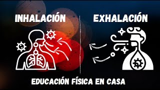 INHALACIÓN Y EXHALACIÓN CICLO DE RESPIRACIÓN Educación Física en casa Preprimaria preescolar [upl. by Zelle853]