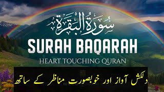 سورة البقره Surah AL BAQARAH Full UNBELIEVABLE HEART TOUCHING VOICE Zeenat ul quran [upl. by Nicolea]