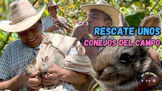 RESCATE unos CONEJOS BEBÉS del monte estaban solos  No podía dejarlos😢 [upl. by Hoffert]