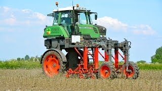 Special FENDT 310 Vario High Clearance  Hoeing apple trees [upl. by Moseley791]